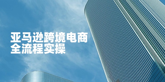 (14252期)亚马逊跨境电商全流程实操,教你从零开始,掌握店铺运营与广告技巧|轻创终点站