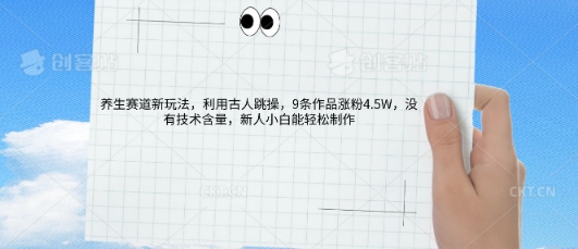 AI养生赛道新玩法,10条作品涨粉5.2W,操作简单,新人小白能轻松制作|轻创终点站