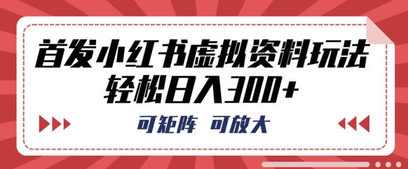 首发小红书虚拟资料玩法，可矩阵，可放大，轻松日入3张|轻创终点站