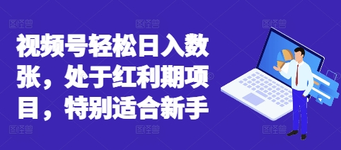 视频号轻松日入数张,处于红利期项目,特别适合新手|轻创终点站