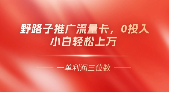 0门槛推广流量卡，一单收益上百，0投入，小白月入过W|轻创终点站