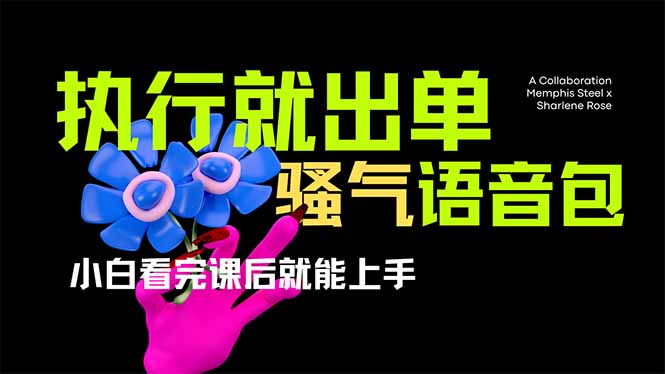 (14170期)爆火全网的开车导航骚气语音包,只要执行就出单,小白看完课程就能实操...|轻创终点站