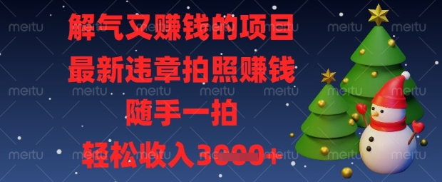解气又挣钱的项目，最新违章拍照挣钱，随手一拍，轻松收入数张【揭秘】|轻创终点站